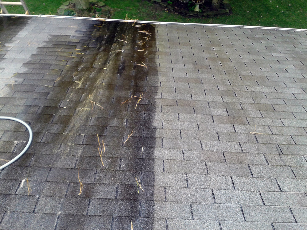 Roof half cleaned in DE by DeckResurrect