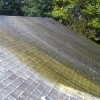 Detergent spreads lifting dirt and making it easier to clean mildew and fungus off roof