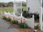 Custom scalloped fence for shade garden