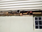 Homeowner noticed for years it leaked in this area in basement. Subsequently he added small pieces of lumber that ended out holding up floor above since ban board completely rotted out along with the ends of some floor joists